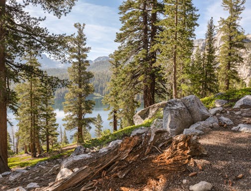 Mammoth Front Desk By Natural Retreats Vacation Rentals In