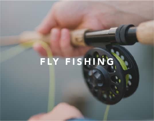 fly fishing 