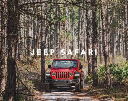 jeep safari tours